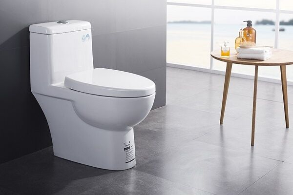Унитаз моноблок: устройство, плюсы и минусы, как правильно выбрать