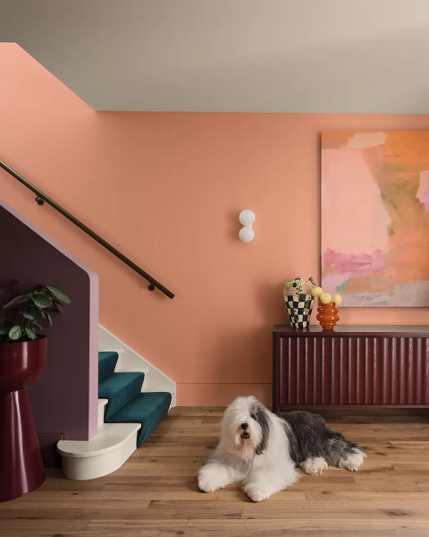 Цветные вдохновения: буйство красок в новом каталоге Dulux 2026 Цветные вдохновения: буйство красок в новом каталоге Dulux 2026