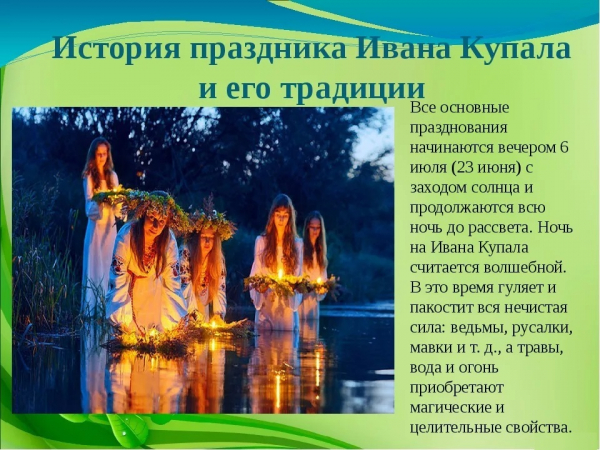 Колокольчик (фото): виды, посадка, уход и размножение растения