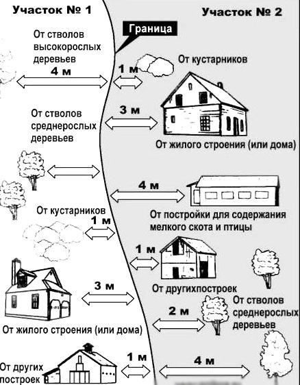 На каком расстоянии от забора сажают деревья На каком расстоянии от забора сажают деревья