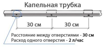 Труба для капельного полива: на что ориентироваться при выборе + правила работы с ним Труба для капельного полива: на что ориентироваться при выборе + правила работы с ним