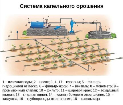 Труба для капельного полива: на что ориентироваться при выборе + правила работы с ним Труба для капельного полива: на что ориентироваться при выборе + правила работы с ним