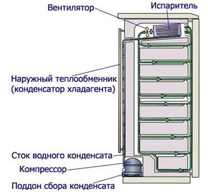 Холодильники Dexp: обзор модельного ряда + сравнение с другими марками на рынке Холодильники Dexp: обзор модельного ряда + сравнение с другими марками на рынке